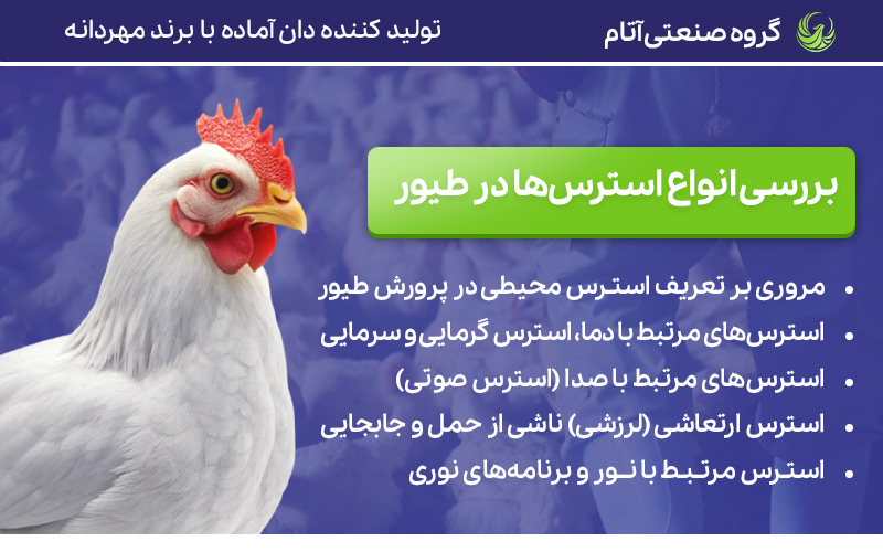 انواع استرس‌های محیطی در طیور